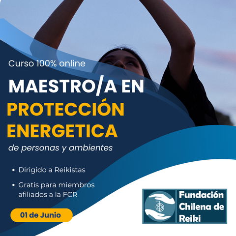 Maestro/a en protección energética