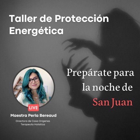 Taller Proteccion Energetica.