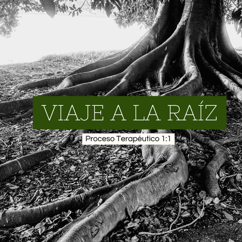 Viaje a la raíz / Proceso Terapéutico