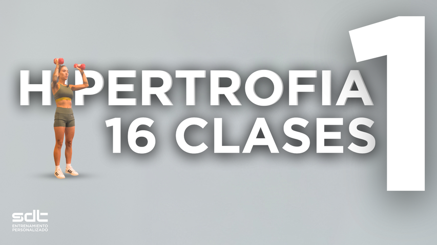 De principiante a experto: módulo A. Entrenamiento hipertrofia
