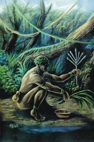 “Clase Online de Orixá Ossaim: Sabiduría de las Hojas y Poder de la Naturaleza”