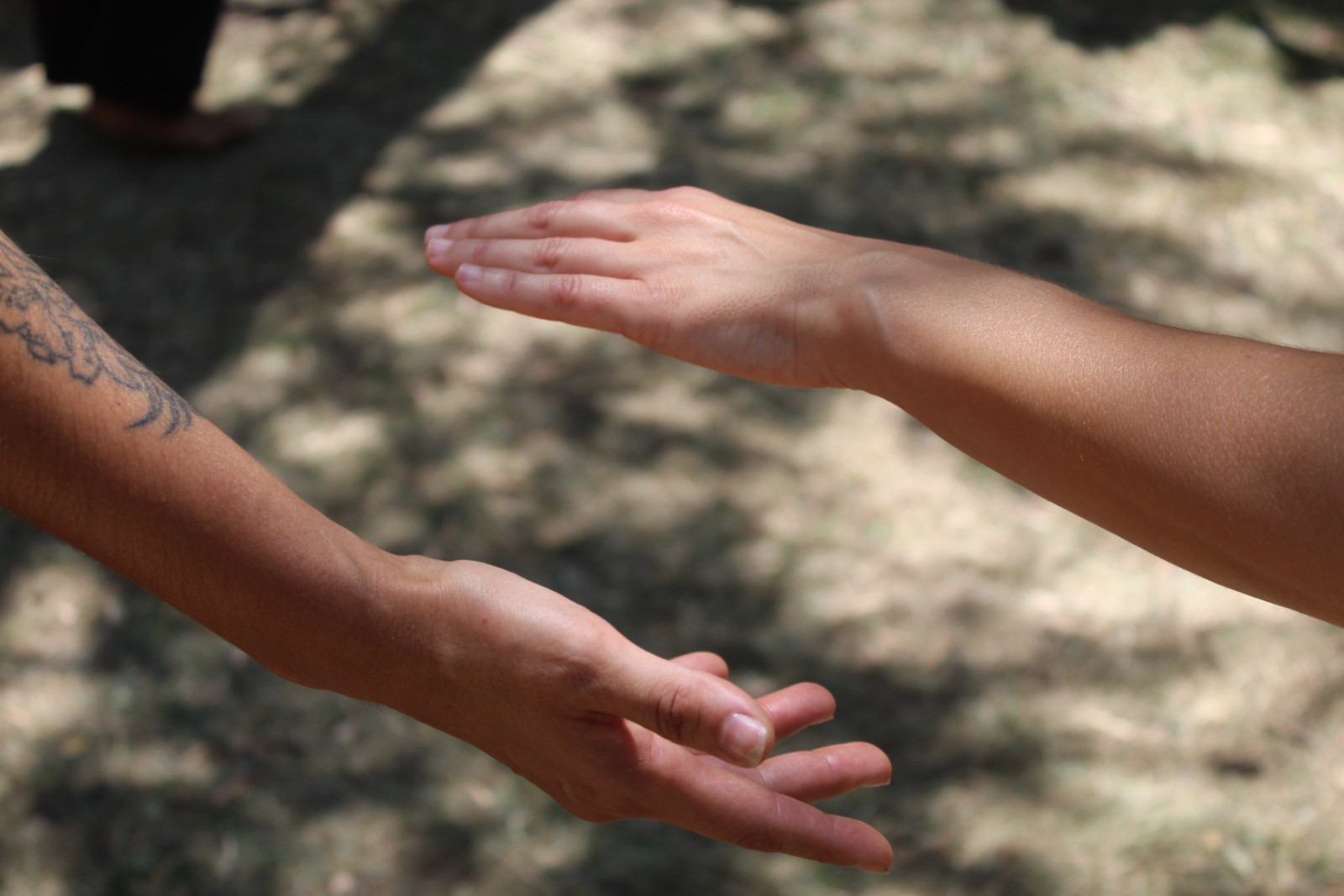 “Comunidad reunida en retiro de danza afro, celebrando raíces afrobrasileñas con ritmo, espiritualidad y conexión con la tierra.”
