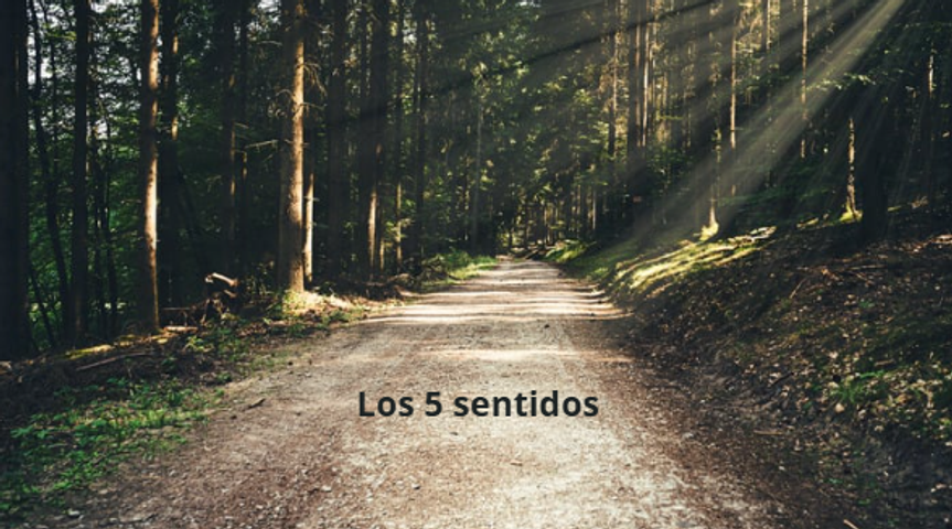 Meditación Mindfulness