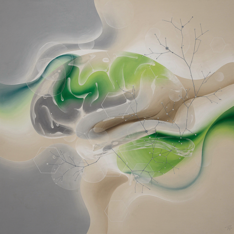 Bases Neurobiológicas de la Ventana de Tolerancia Emocional