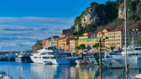 LA ZANAHORIA DEL ASNO