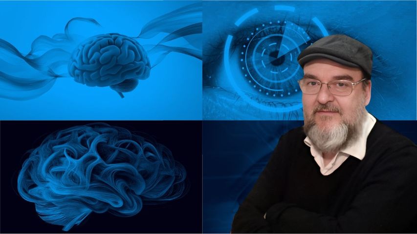 Serendipia: Ver lo que Otros No y llegar a una Revelación