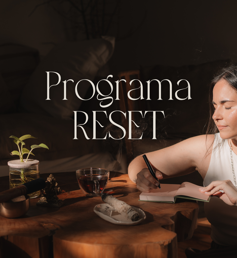 Programa Reset