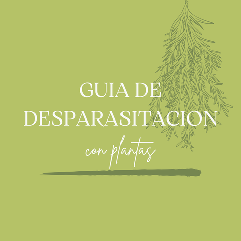 Guia de DESPARASITACION con PLANTAS MEDICINALES