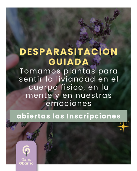 DESPA GUIADA (Sept 2025)