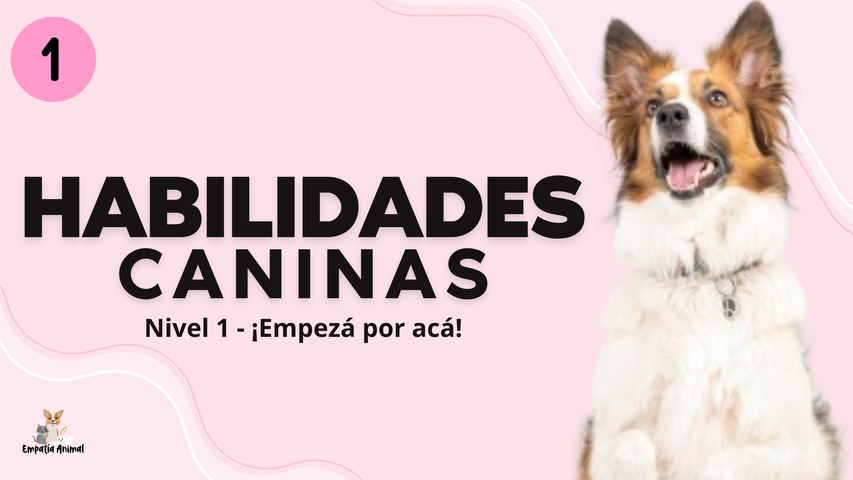 Habilidades caninas - Nivel 1