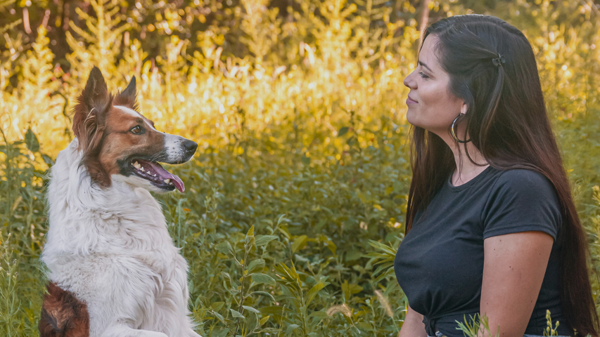 Sistema de comunicación