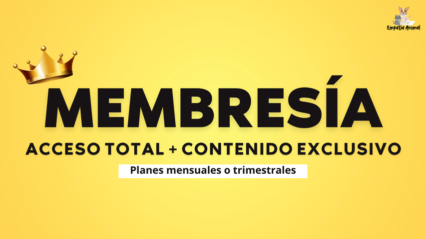Membresía