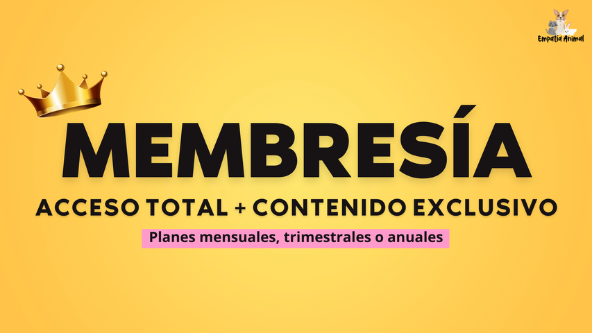 Membresía