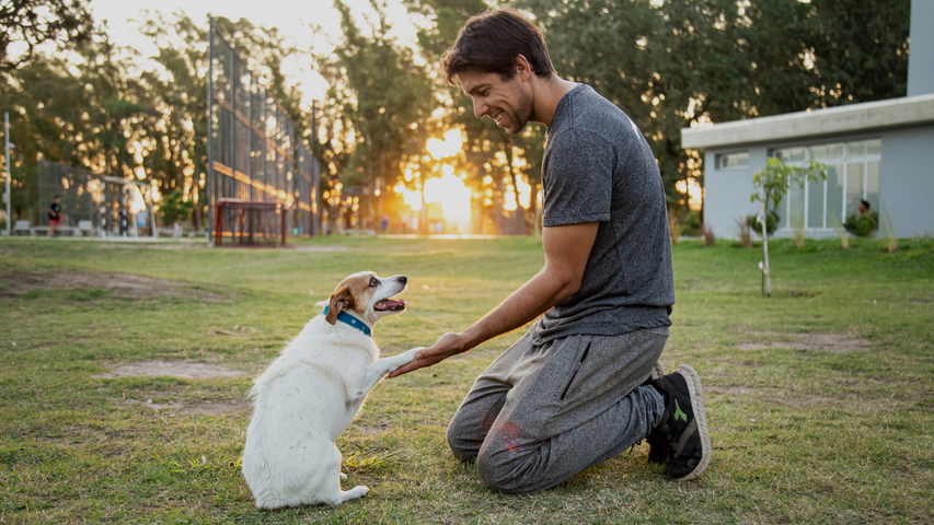 Lenguaje canino | Por Germán Quiroga
