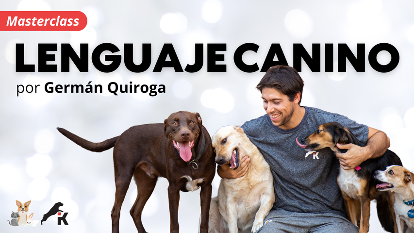Masterclass en Lenguaje Canino