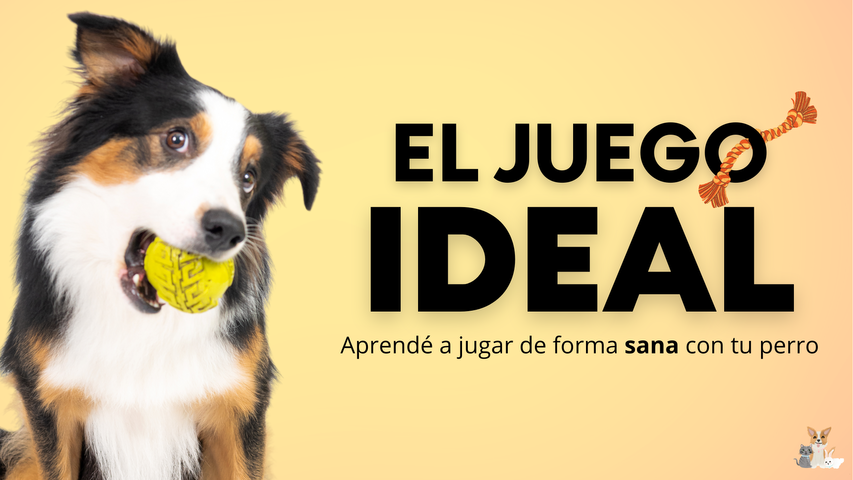 EL JUEGO IDEAL - Masterclass