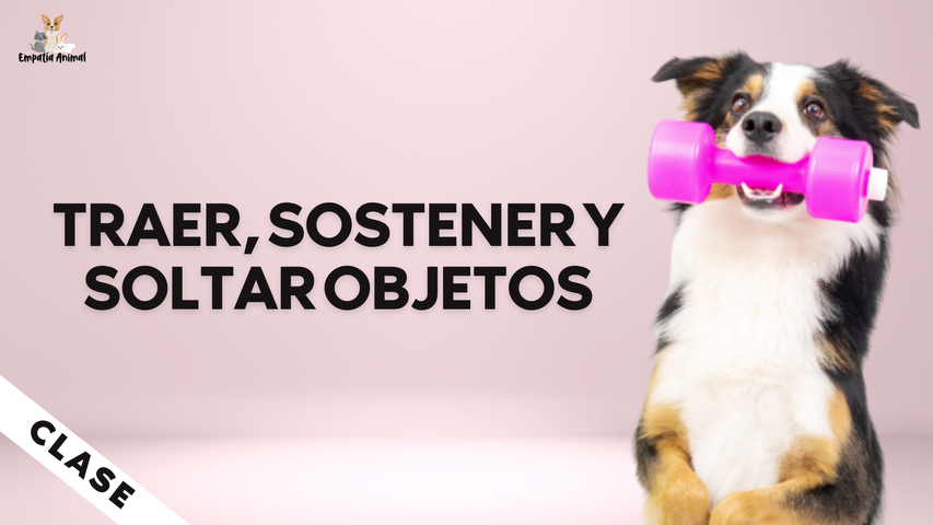 TRAER, SOSTENER Y SOLTAR OBJETOS - Clase especial