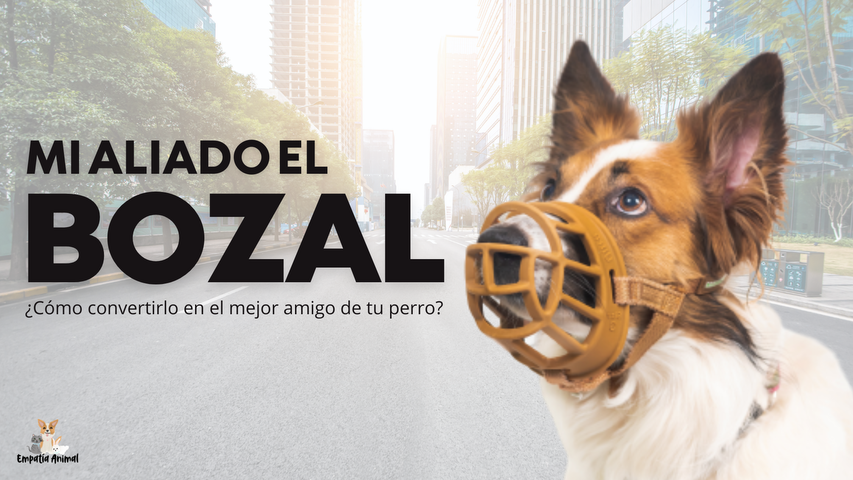 Mi aliado el bozal