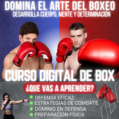 CURSO DE BOXEO PASO A PASO