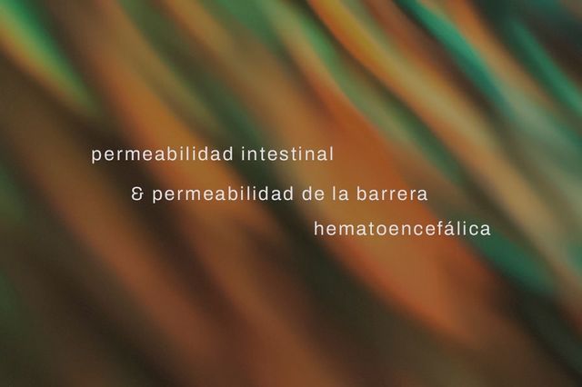 Impacto de la Permeabilidad Intestinal en la Salud Mental