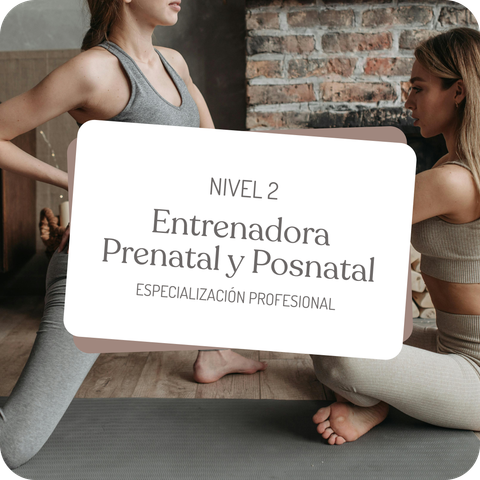 NIVEL II - Especialización en  entrenadora prenatal y posnatal.