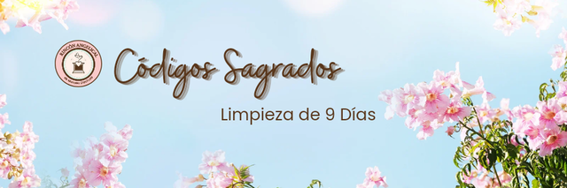 Limpieza con Códigos Sagrados de 9 días