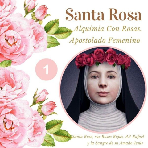 Santa Rosa y su cámara cuántica 