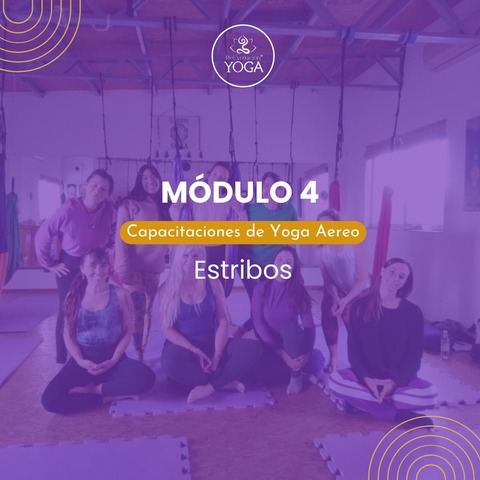 Capacitaciones de Yoga Aereo 4