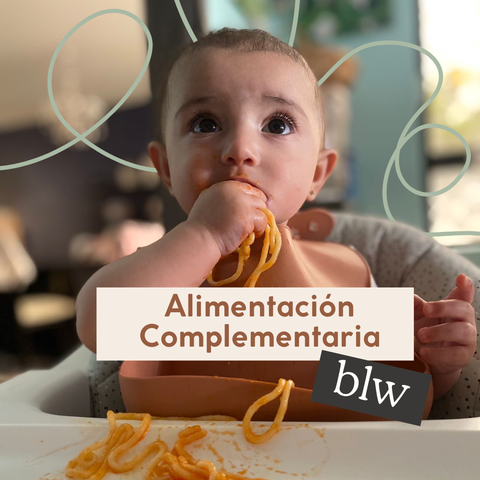 Alimentación Complementaria BLW: Nutrición completa y balanceada desde el día 1