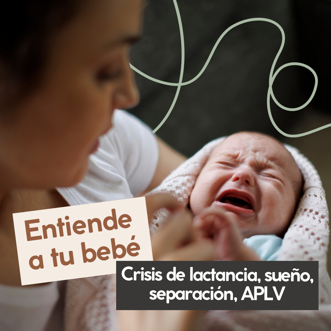 Entiende a tu bebé