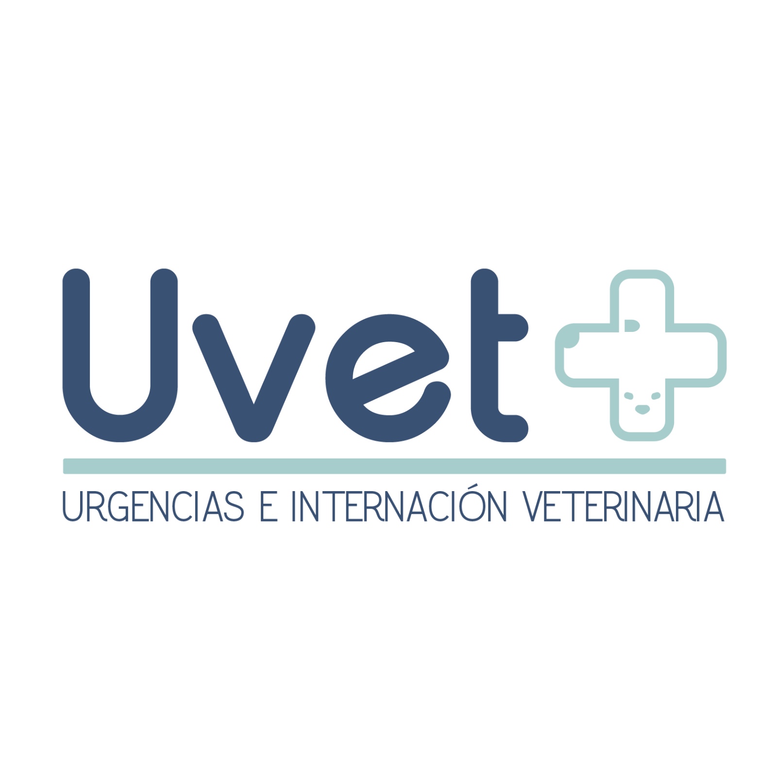 @uvet.uy