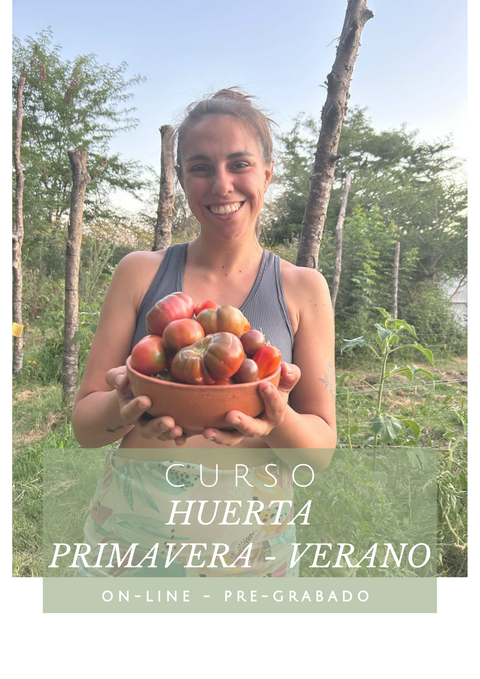 Curso primavera verano