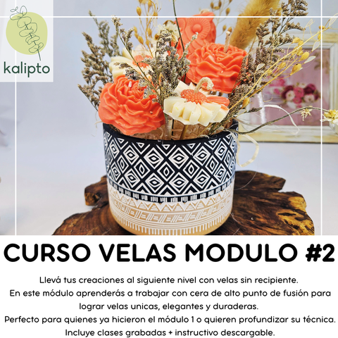Curso de Velas de Soja Modulo #2