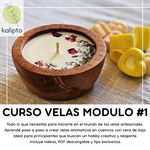 Curso de Velas de Soja Modulo #1