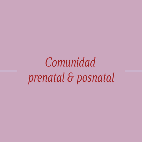 Yoga Prenatal & Posnatal Online