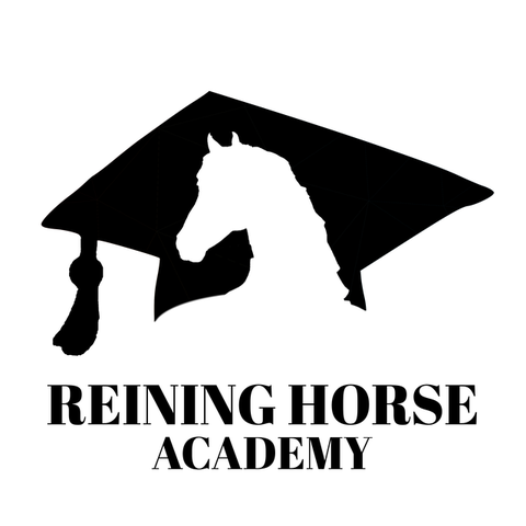 Reining Horse academy