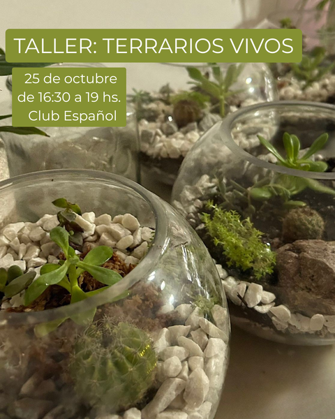 Taller: Terrarios vivos 
