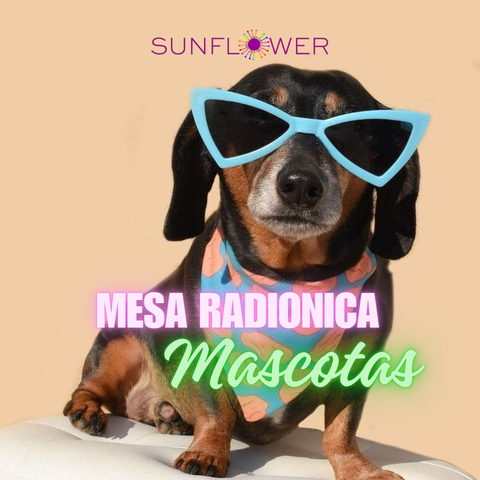 Mesa Radiónica Mascotas