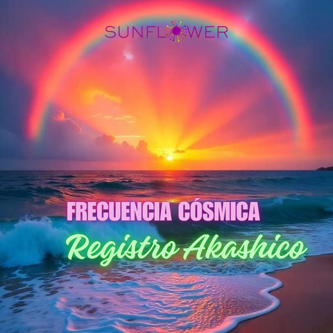Registro Akashico