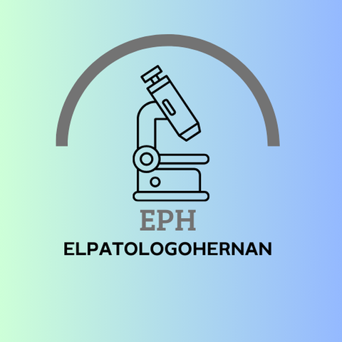 ELPATOLOGOHERNAN - CURSO ON LINE