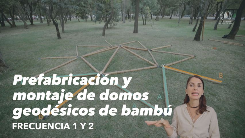 Domos Geodésicos de Bambú