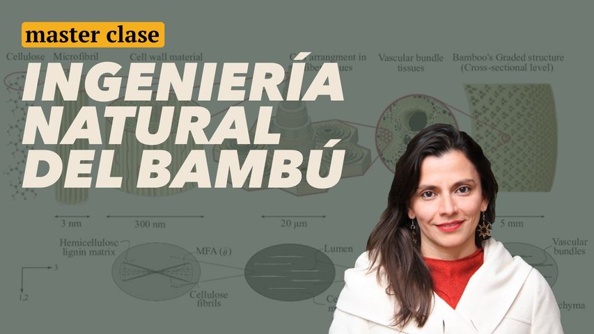 MASTER CLASE - INGENIERÍA NATURAL DEL BAMBÚ