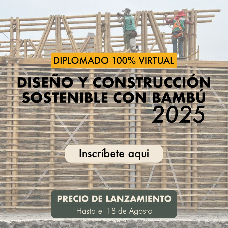 Diplomado Diseño y Construcción con Bambú