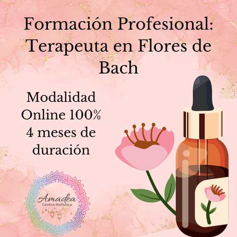 Formación: Terapeuta en Flores de Bach