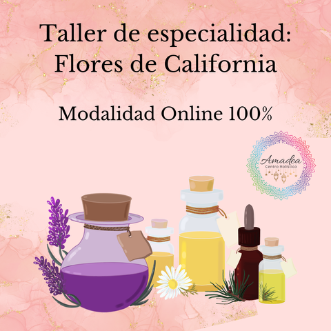 Taller Flores de California