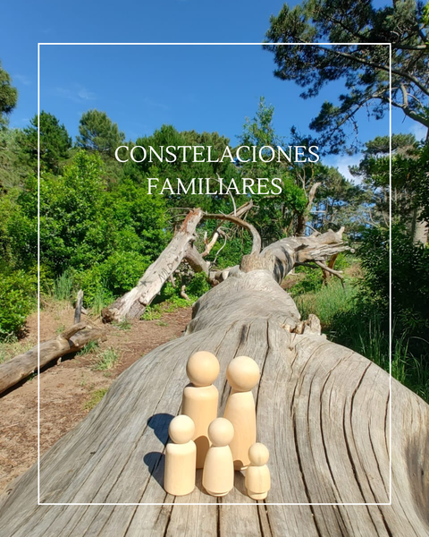 Constelaciones Familiares