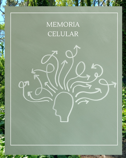 Limpieza y Reprogramación de la Memoria Celular.