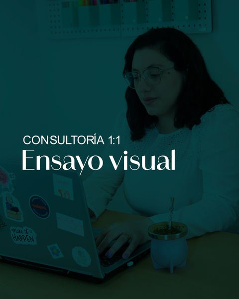 Ensayo Visual: 4 encuentros 1:1 de 90min