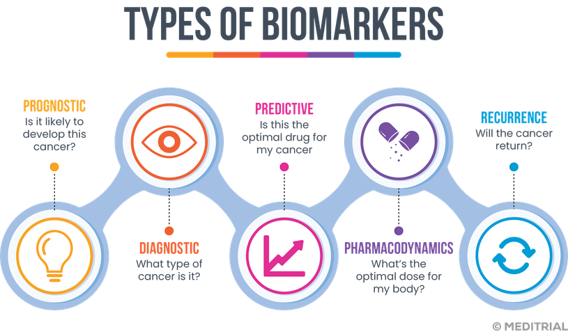 COMBO 1: INICIACIÓN A LA TRADUCCIÓN MÉDICA + 1 MENTORÍA