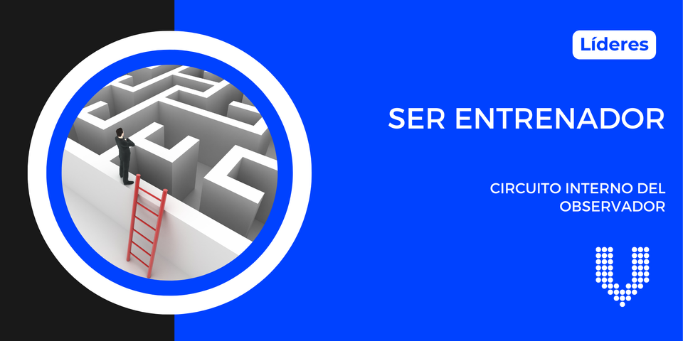 Ser Entrenador - Circuito interno del observador